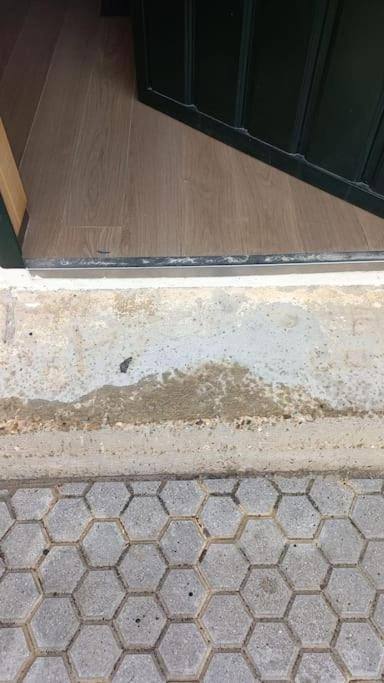 Ferienwohnung Loft Acogedor Sevilla Exterior foto